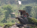 mekong (31)